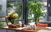 Туры в отель Vital Hotel Fulya