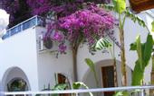 Туры в отель Filis Hotel