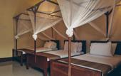 Туры в отель Amaan Nungwi Hotel