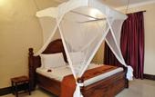 Туры в отель Amaan Nungwi Hotel