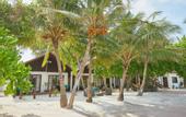 Туры в отель Atollkey Beach Villa