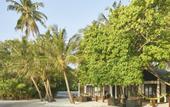 Туры в отель Atollkey Beach Villa