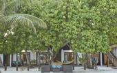 Туры в отель Atollkey Beach Villa