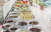 Туры в отель Rhapsody Hotel Kas