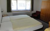 Туры в отель Hotel Alfa Zermatt