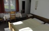 Туры в отель Hotel Alfa Zermatt