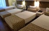 Туры в отель Grand Zeybek Hotel