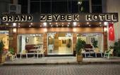 Туры в отель Grand Zeybek Hotel
