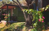 Туры в отель My Bungalov