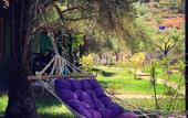 Туры в отель My Bungalov