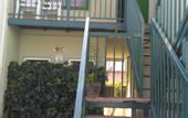 Туры в отель Avlu 4 Apartments