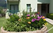 Туры в отель Avlu 4 Apartments