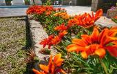 Туры в отель Ata Lagoon Beach Hotel