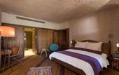 Туры в отель Ariana Sustainable Luxury Lodge