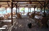 Туры в отель Troas Motel