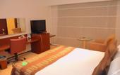 Туры в отель Grand Hotel Konya
