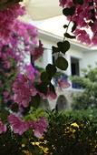 Туры в отель La Salvia Hotel
