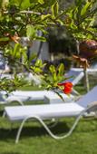 Туры в отель La Salvia Hotel
