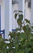 Туры в отель La Salvia Hotel