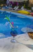 Туры в отель La Salvia Hotel