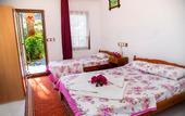Туры в отель Flower Pension