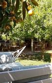 Туры в отель Sunset Pension & Apart
