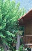 Туры в отель Sunset Pension & Apart
