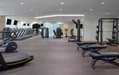 Туры в отель Avani Palm View Dubai Hotel & Suites