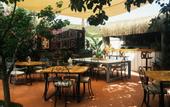 Туры в отель Yucca Alacati