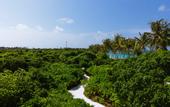 Туры в отель Siyam World Maldives