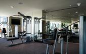 Туры в отель Holiday Inn Dubai al Maktoum Airport