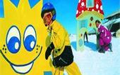 Туры в отель Hotel Edelweiss Wagrain