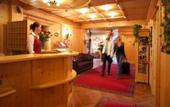 Туры в отель Hotel Edelweiss Wagrain