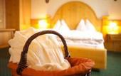 Туры в отель Hotel Edelweiss Wagrain