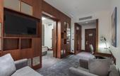 Туры в отель Holiday Inn Istanbul - Tuzla Bay