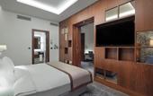 Туры в отель Holiday Inn Istanbul - Tuzla Bay