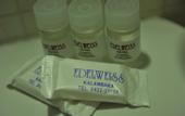 Туры в отель Hotel Edelweiss
