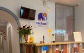 Туры в отель Elefant Hotel