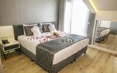 Туры в отель Elm Suite Hotel