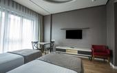 Туры в отель Elm Suite Hotel