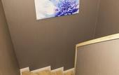 Туры в отель Elm Suite Hotel