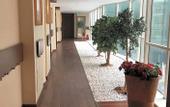 Туры в отель My Palace Rooms