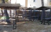 Туры в отель Allsun Hotel Eden Playa