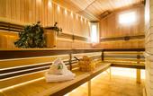 Туры в отель Сова Парк-Отель