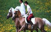 Туры в отель Edenlehen