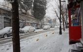 Туры в отель Erciyes