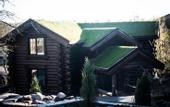 Туры в отель Log House