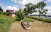 Туры в отель Парк-отель Диево-Городище