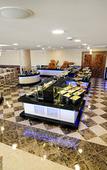 Туры в отель Elite Hotel Darica