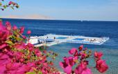 Туры в отель Domina Coral Bay Sultan Pool